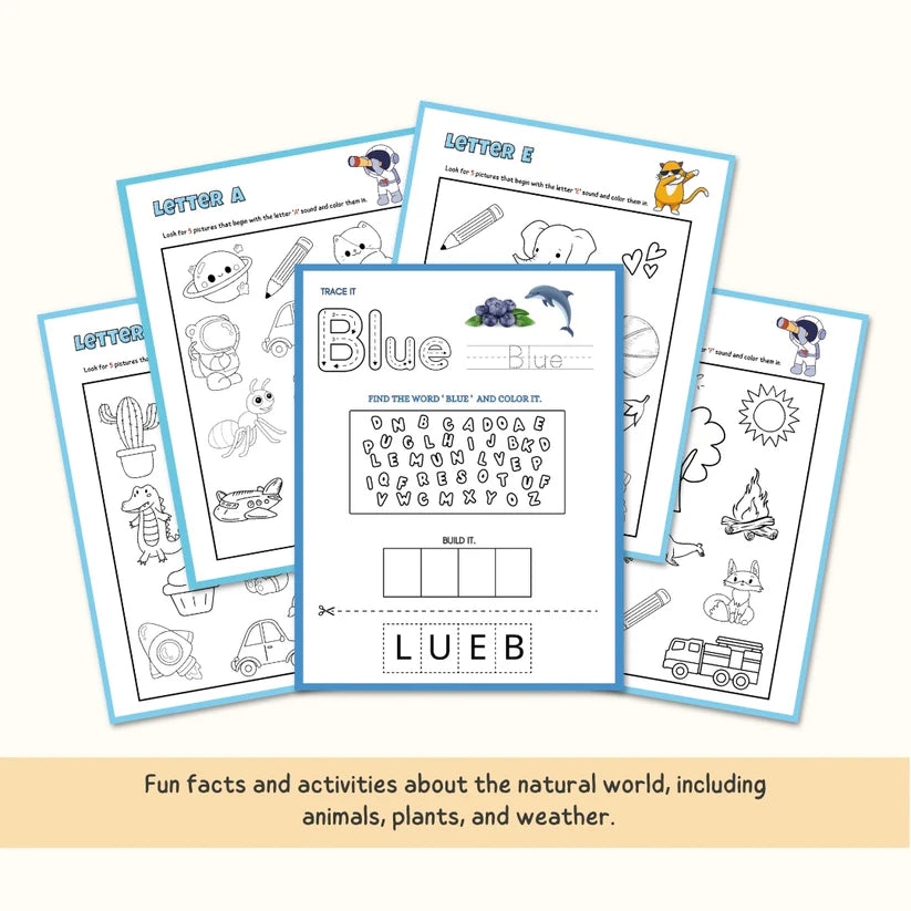 Homeschooling Kindergarten Busy Book