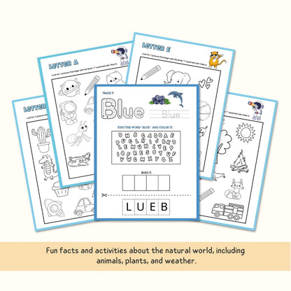 Homeschooling Kindergarten Busy Book