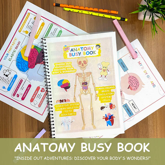 Human Anatomy Busy Book for kids
